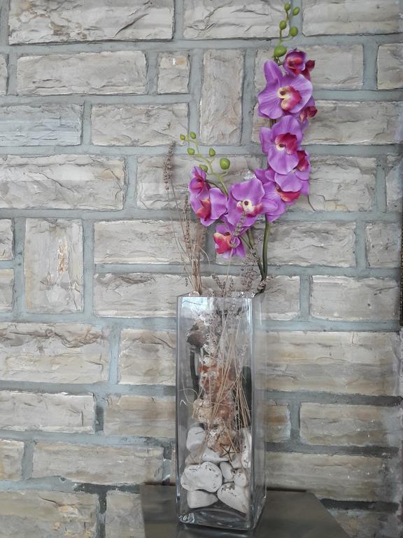 Pansion Alen - Dugi Otok Bed & Breakfast Luka  Dış mekan fotoğraf