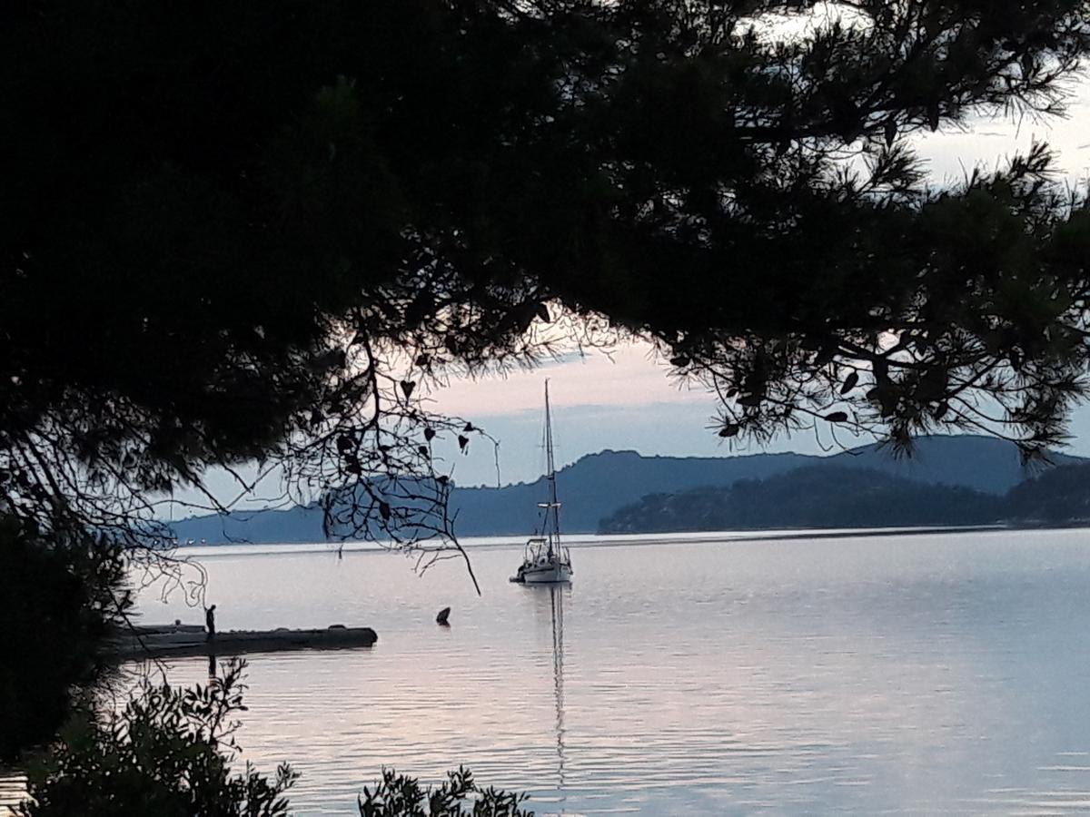 Pansion Alen - Dugi Otok Bed & Breakfast Luka  Dış mekan fotoğraf